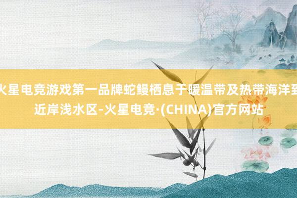 火星电竞游戏第一品牌蛇鳗栖息于暖温带及热带海洋到近岸浅水区-火星电竞·(CHINA)官方网站