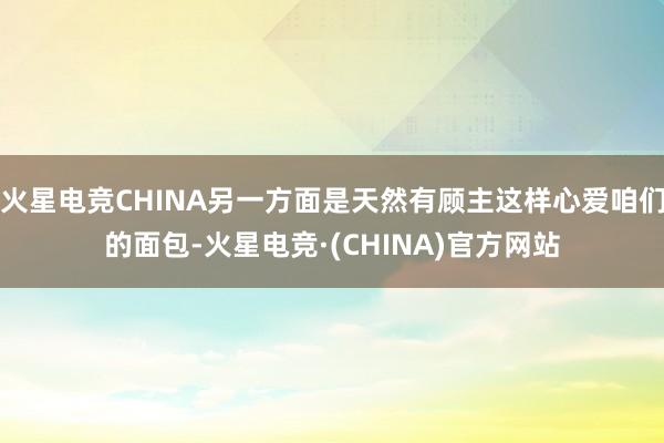 火星电竞CHINA另一方面是天然有顾主这样心爱咱们的面包-火星电竞·(CHINA)官方网站