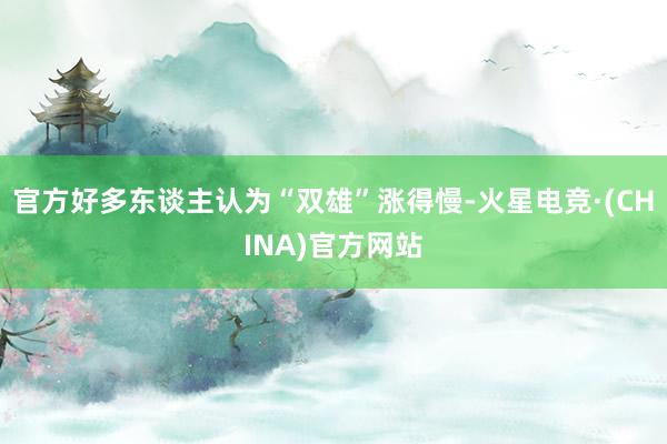 官方好多东谈主认为“双雄”涨得慢-火星电竞·(CHINA)官方网站
