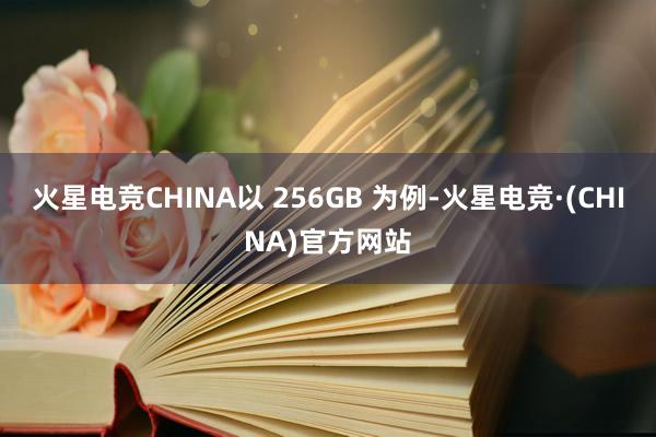 火星电竞CHINA以 256GB 为例-火星电竞·(CHINA)官方网站